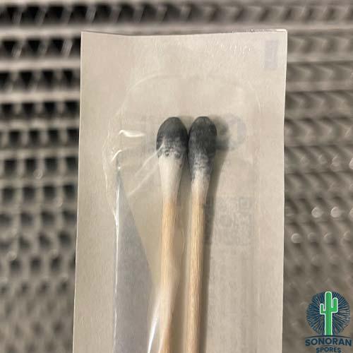 AMVP Mushroom Spores