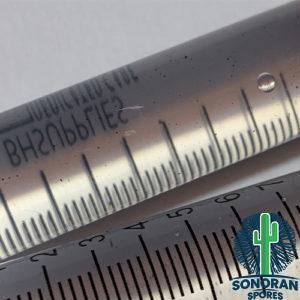Bsyringe