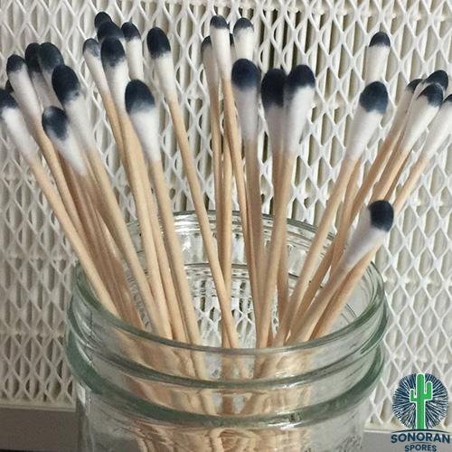 Buy ghost spore swabs