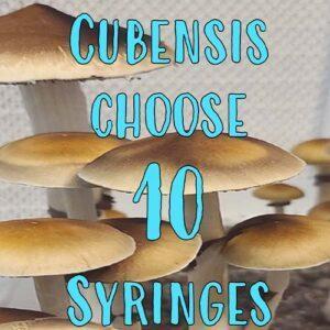 Choose 10 Cubensis multi spore syringes