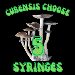 Cubensis Choose 5 Syringes