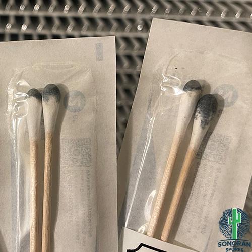 Low Priced Ghost Spores