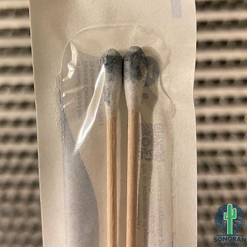 ShaktiswabS1