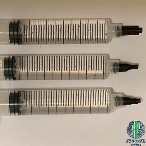 Koh Samui Strain Cubensis Mushroom Syringes
