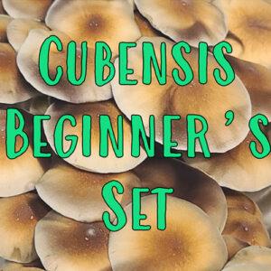 Cubensis Beginner's Set