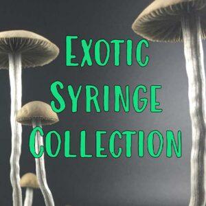 Exotic Syringe Collection