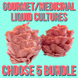 Gourmet/Medicinal Liquid Cultures Choose 5 Bundle