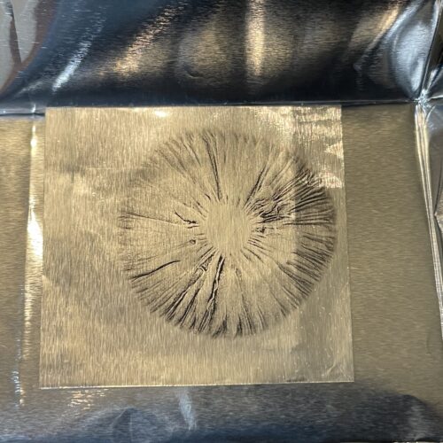 Pan Cyan Australia Spore Print