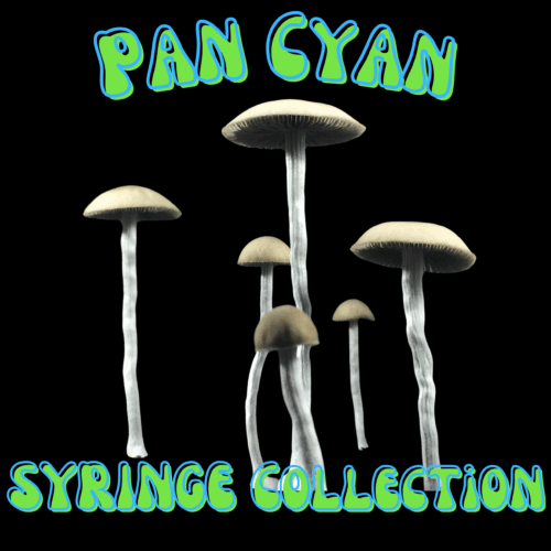 Pan Cyan Syringe Collection