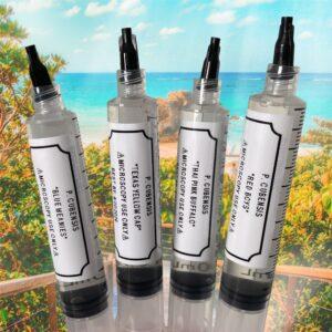 August Monthly Special: Colors of Summer