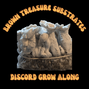Brown Treasure Substrates Discord Grow Along