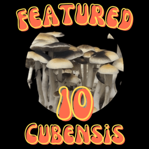 Featured 10 Cubensis Varieties