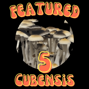 Featured 5 Cubensis Varieties