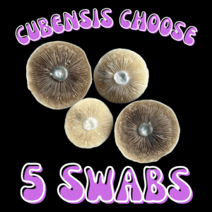 Cubensis Choose 5 Swabs Bundle