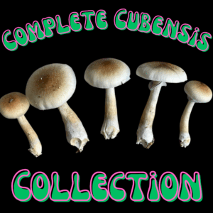 Complete Cubensis Collector's Set