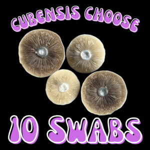 Cubensis Choose 10 Swabs Bundle