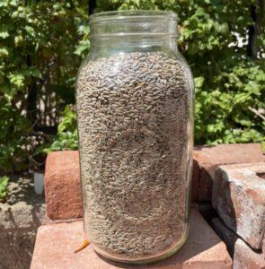 Dry grains measured out in 64oz mason jar