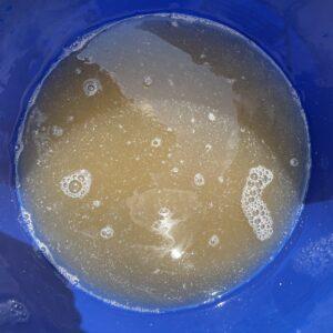 Cloudy water from cleaning the rye berries