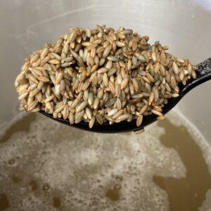 Hydrated rye berries