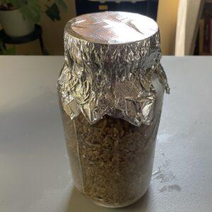 Grain jar with foil over the lid before it goes into the pressure cooker