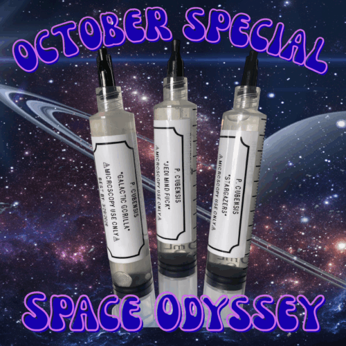 October Monthly Special: Space Odyssey