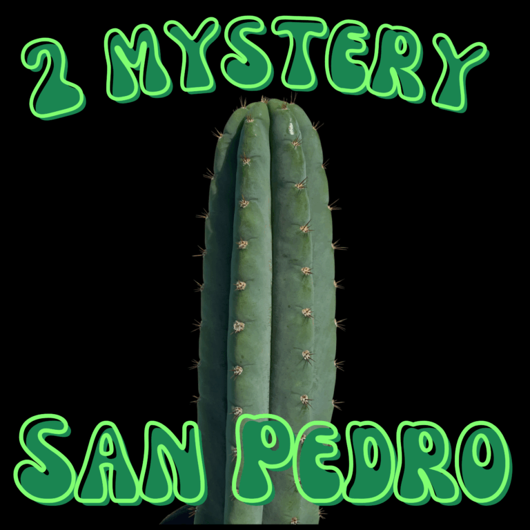 2 Mystery San Pedro Cuttings