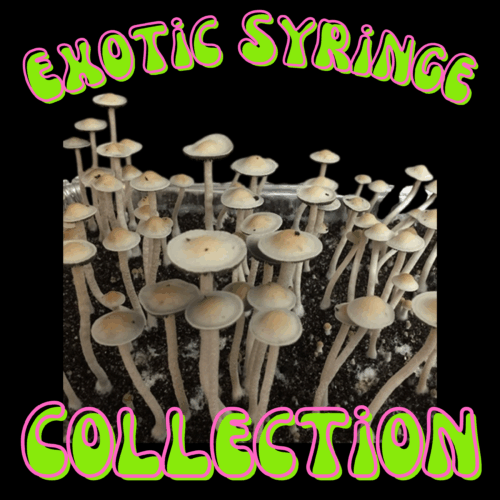 Exotic Syringe Collection