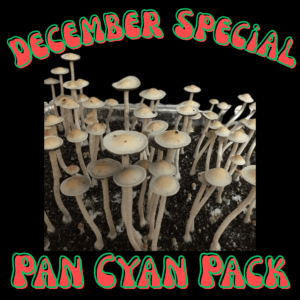 December Monthly Special: Pan Cyan Pack