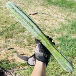 20 inch San Pedro "TPQC" Cutting