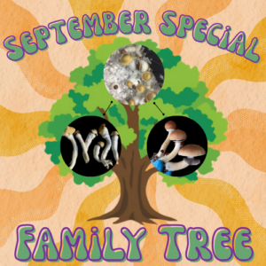 September Monthly Special: Family Tree