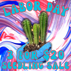 Labor Day Seedling Sale: 3 for $20