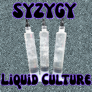 Syzygy Liquid Culture Syringe